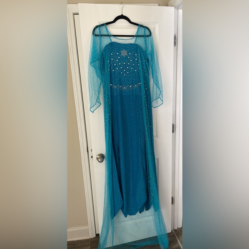 Adult Elsa costume